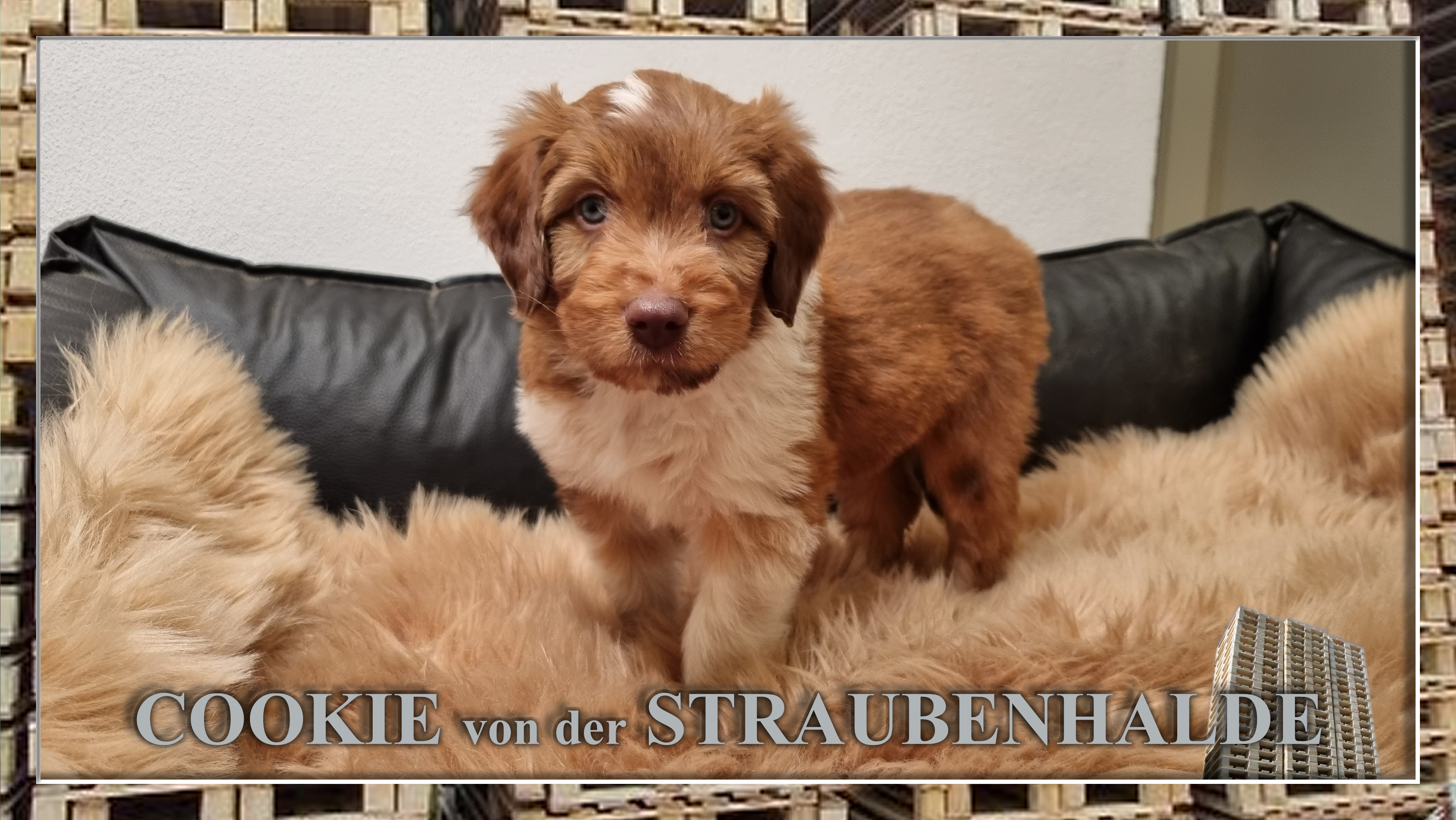 W&auml;ller von der Straubenhalde